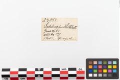 Etiketten zu Perlenkette (NHMW-PRAE-023855)